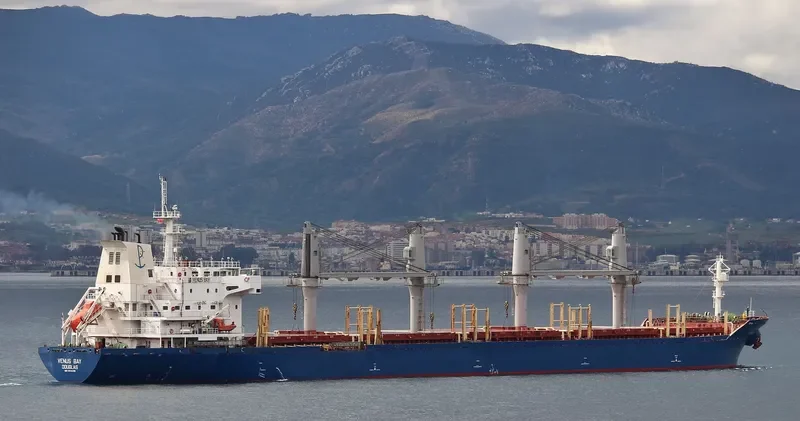 KYRI BAY Bulk Carrier IMO 9414450 photo 9