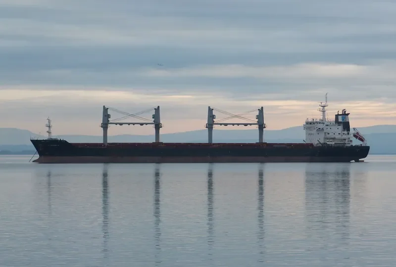 STADION II Bulk Carrier IMO 9414462