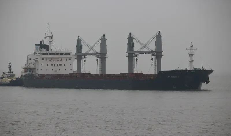 STADION II Bulk Carrier IMO 9414462 photo 3