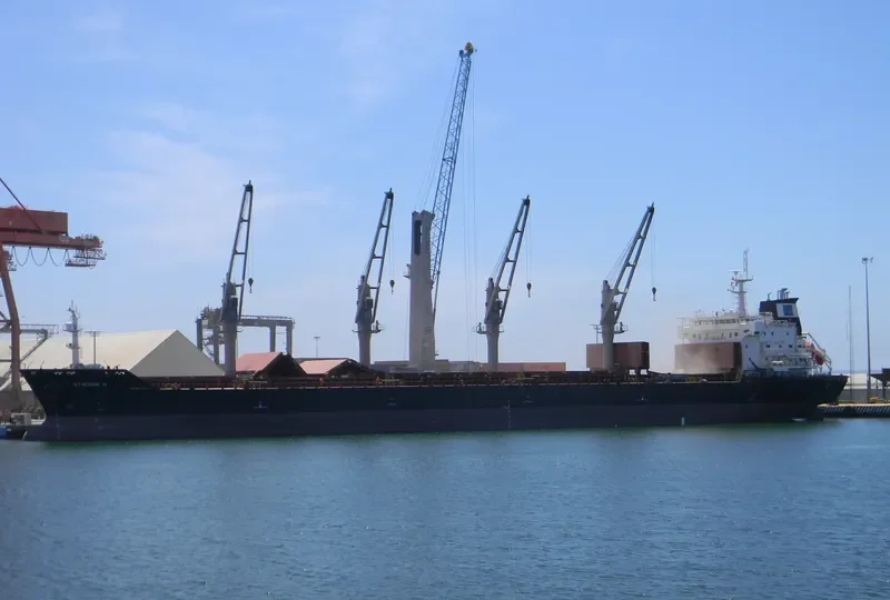 STADION II Bulk Carrier IMO 9414462 photo 9