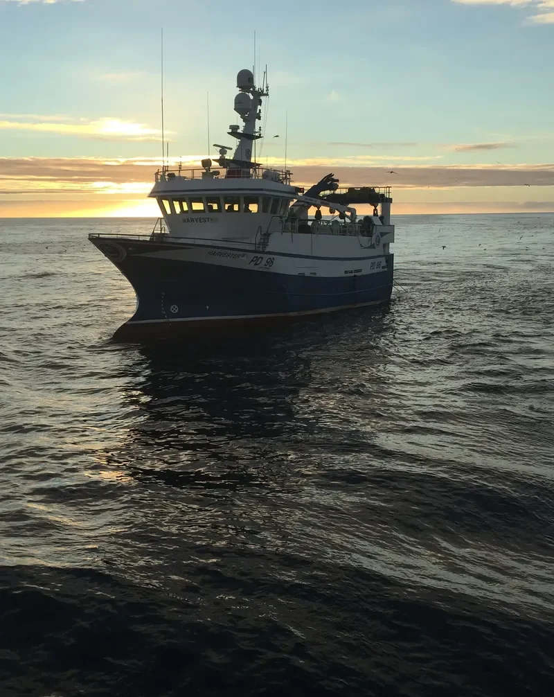 HARVESTER General Cargo IMO 9414670 photo 7