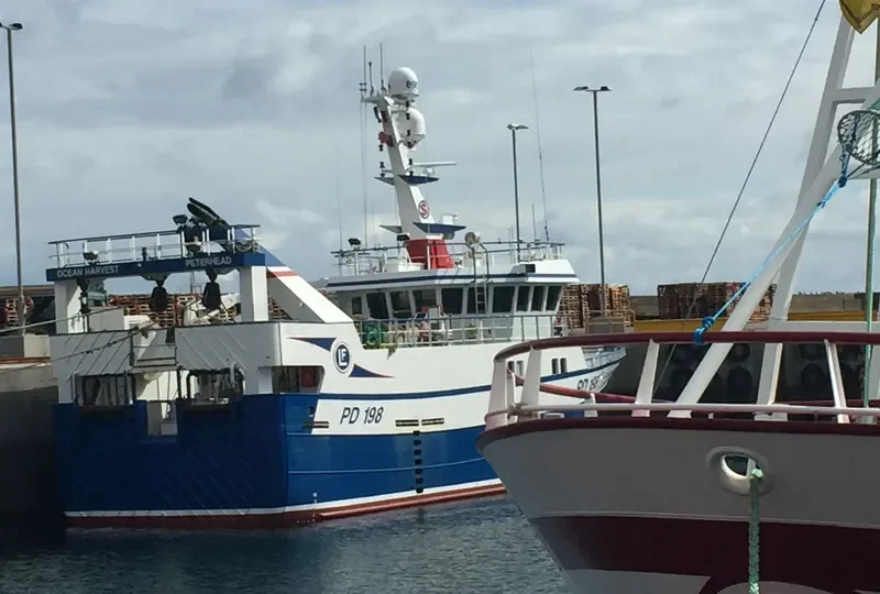 OCEAN HARVEST General Cargo IMO 9414682 photo 5