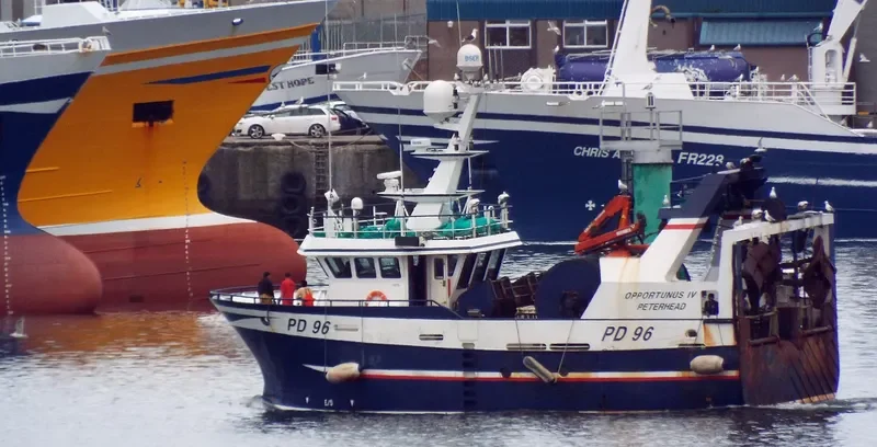 OPPORTUNUS IV General Cargo IMO 9414694 photo 4