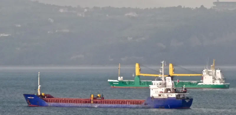 ALIYE HANIM General Cargo IMO 9414723 photo 10