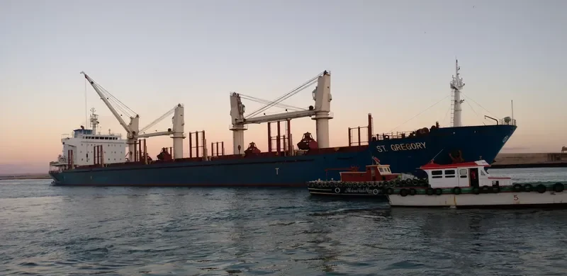 ST.GREGORY Bulk Carrier IMO 9414759 photo 2
