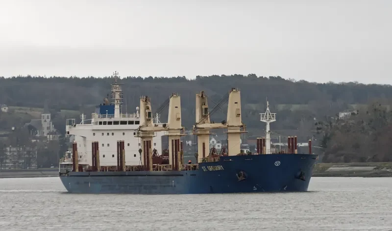 ST.GREGORY Bulk Carrier IMO 9414759 photo 4