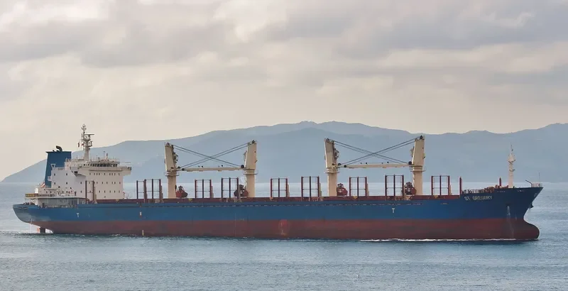 ST.GREGORY Bulk Carrier IMO 9414759 photo 9