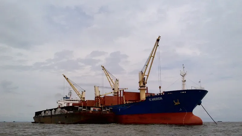 ST.ANDREW Bulk Carrier IMO 9414761 photo 3