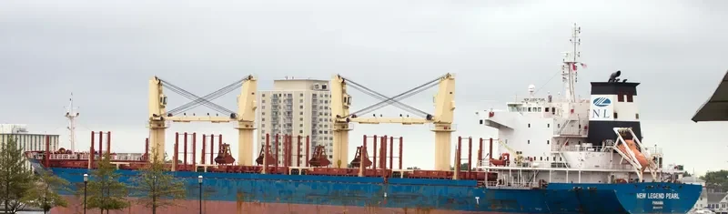 NEW LEGEND PEARL Bulk Carrier IMO 9414773 photo 6
