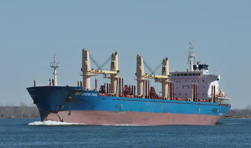 NEW LEGEND PEARL Bulk Carrier IMO 9414773 photo 8