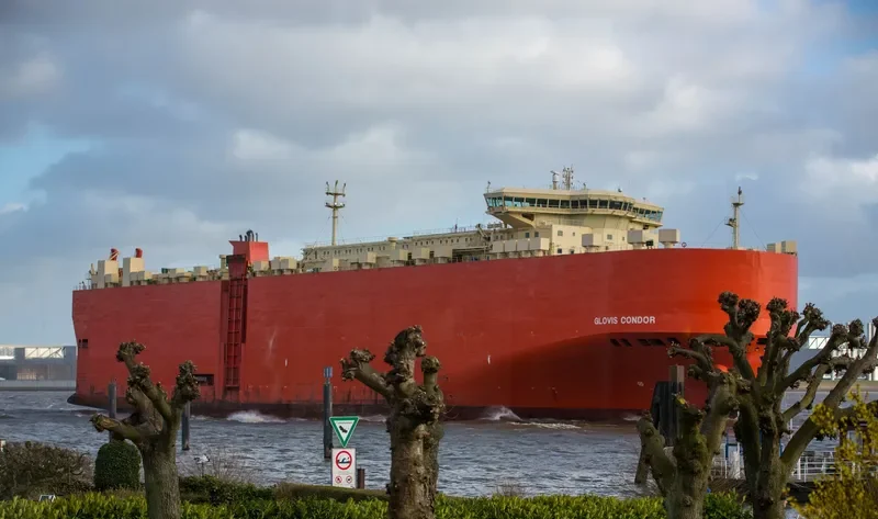GLOVIS CONDOR General Cargo IMO 9414876