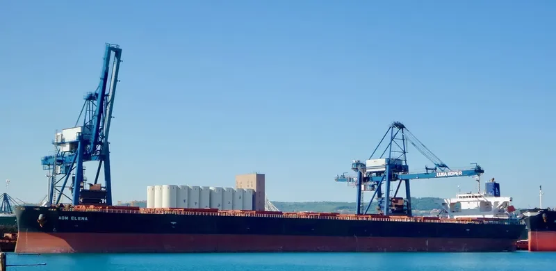 AOM ELENA Bulk Carrier IMO 9414888 photo 2