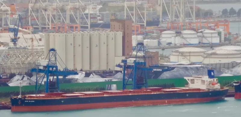 AOM ELENA Bulk Carrier IMO 9414888 photo 3