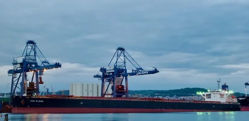 AOM ELENA Bulk Carrier IMO 9414888 photo 4