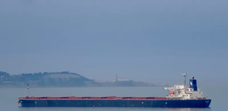 AOM ELENA Bulk Carrier IMO 9414888 photo 6