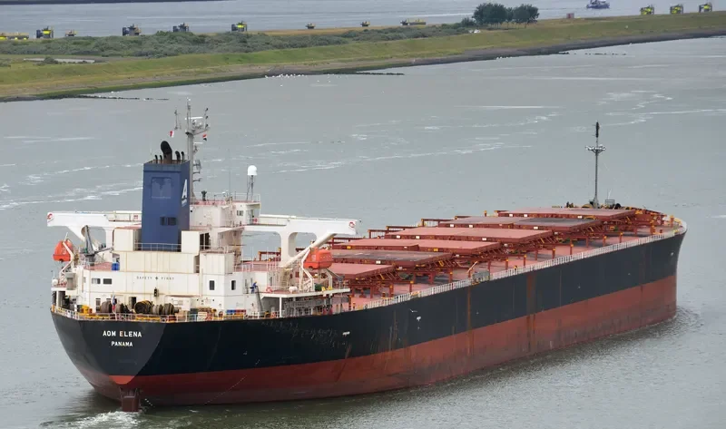 AOM ELENA Bulk Carrier IMO 9414888 photo 7