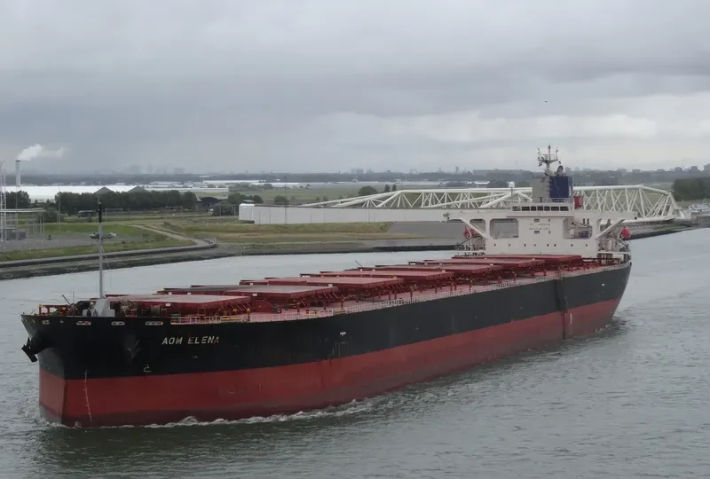AOM ELENA Bulk Carrier IMO 9414888 photo 9