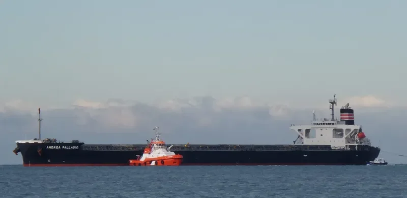ANDREA PALLADIO Bulk Carrier IMO 9414890 photo 3