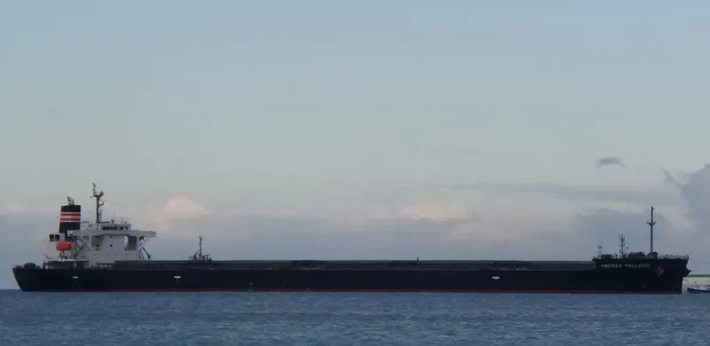 ANDREA PALLADIO Bulk Carrier IMO 9414890 photo 5