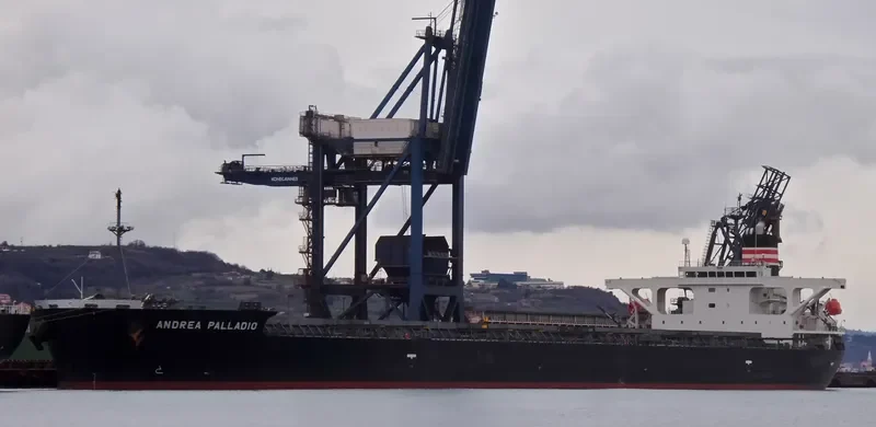 ANDREA PALLADIO Bulk Carrier IMO 9414890 photo 6