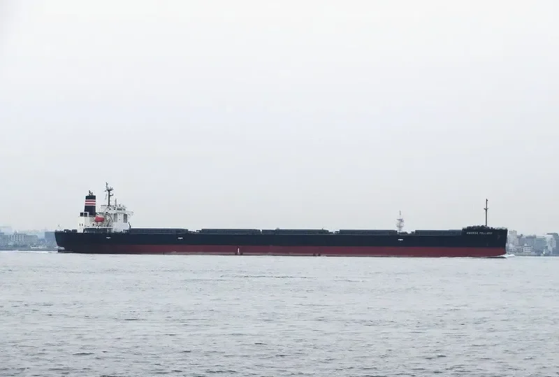 ANDREA PALLADIO Bulk Carrier IMO 9414890 photo 9