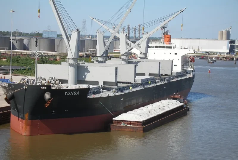 NOVA Bulk Carrier IMO 9414917 photo 2