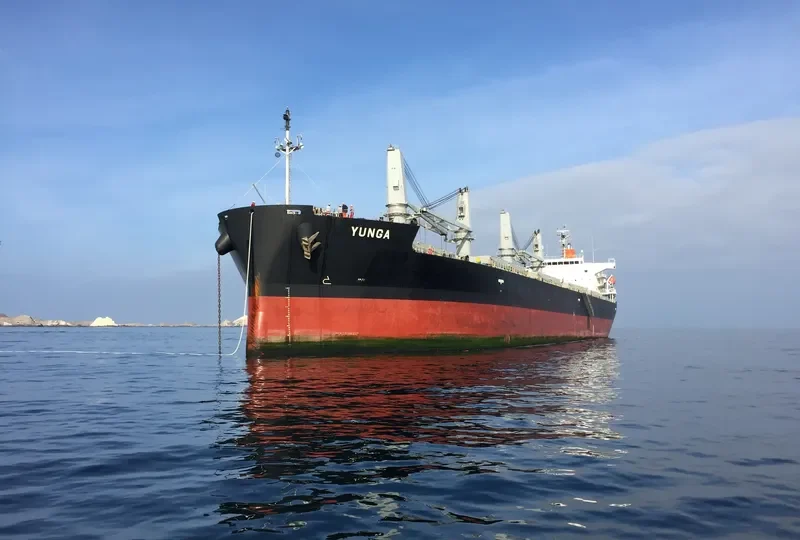 NOVA Bulk Carrier IMO 9414917 photo 3