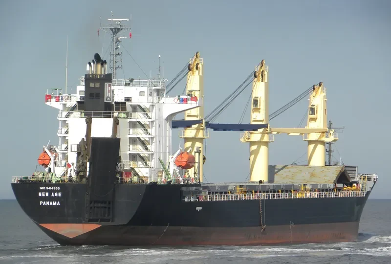 NEW AGE General Cargo IMO 9414955 photo 4