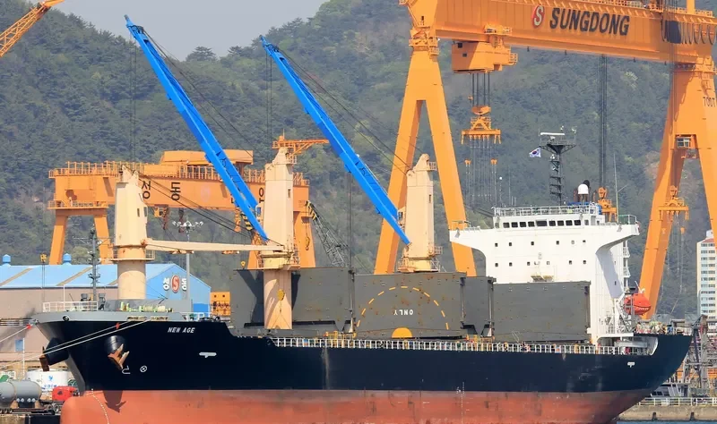 NEW AGE General Cargo IMO 9414955 photo 5