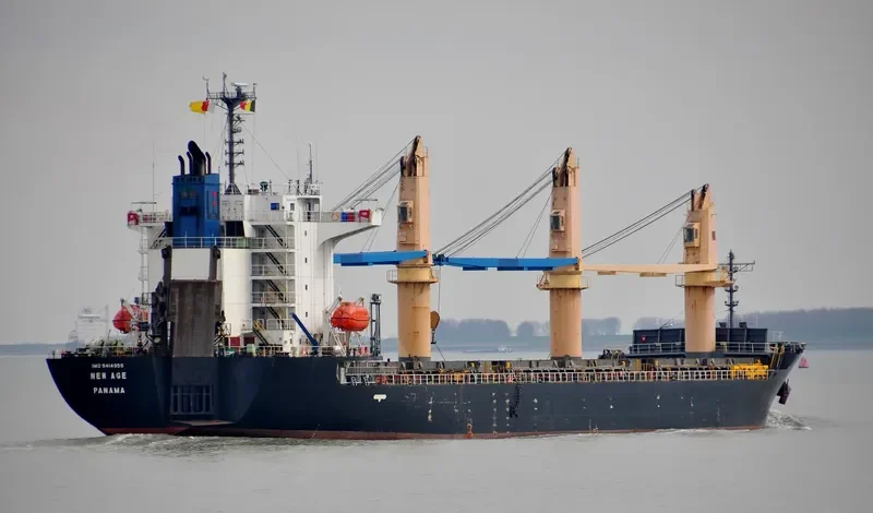 NEW AGE General Cargo IMO 9414955 photo 6