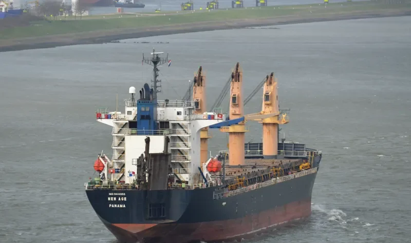 NEW AGE General Cargo IMO 9414955 photo 10