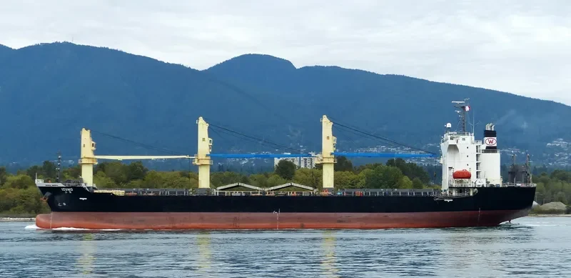 IZUMO General Cargo IMO 9414967