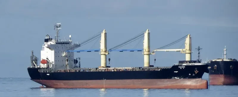IZUMO General Cargo IMO 9414967 photo 4