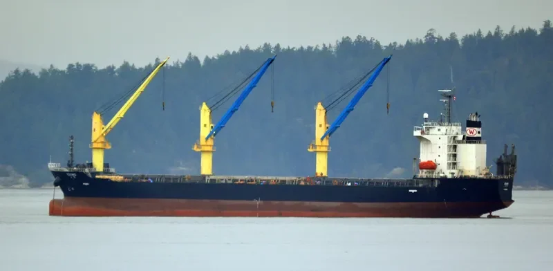 IZUMO General Cargo IMO 9414967 photo 5