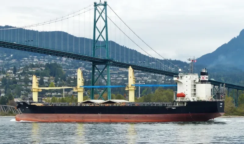 IZUMO General Cargo IMO 9414967 photo 6