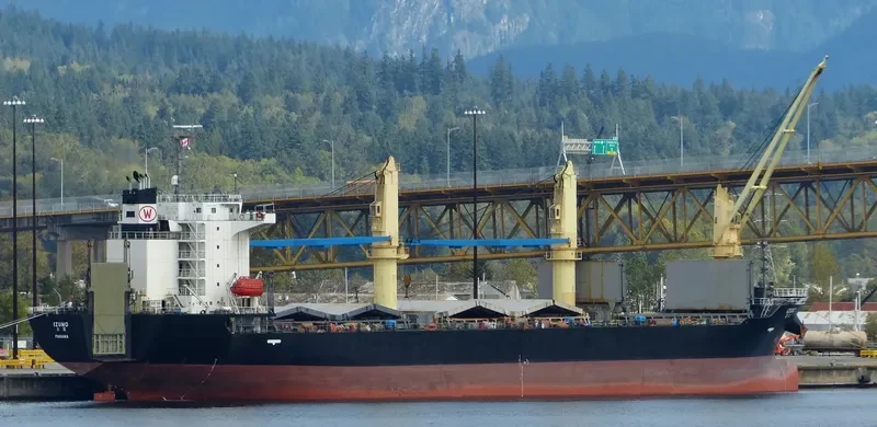 IZUMO General Cargo IMO 9414967 photo 7