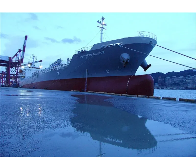 DM DRAGON Tanker IMO 9415002 photo 6