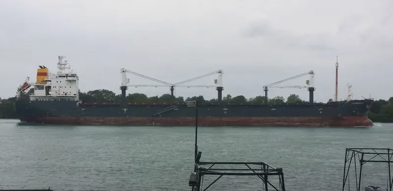 LUDOGORETS Bulk Carrier IMO 9415155 photo 2