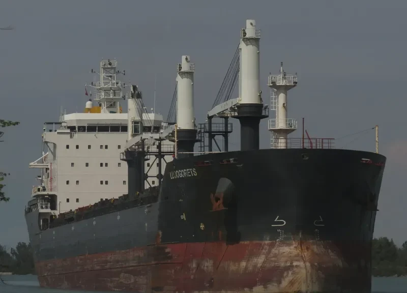LUDOGORETS Bulk Carrier IMO 9415155 photo 6