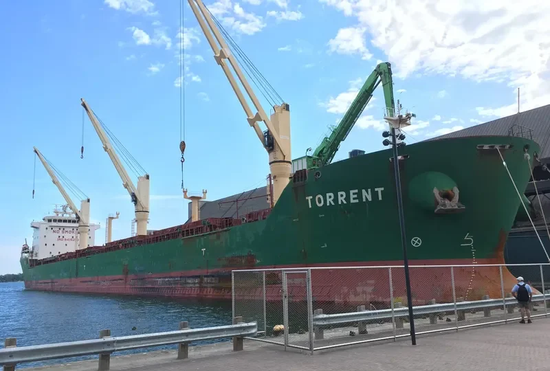 TORRENT Bulk Carrier IMO 9415210