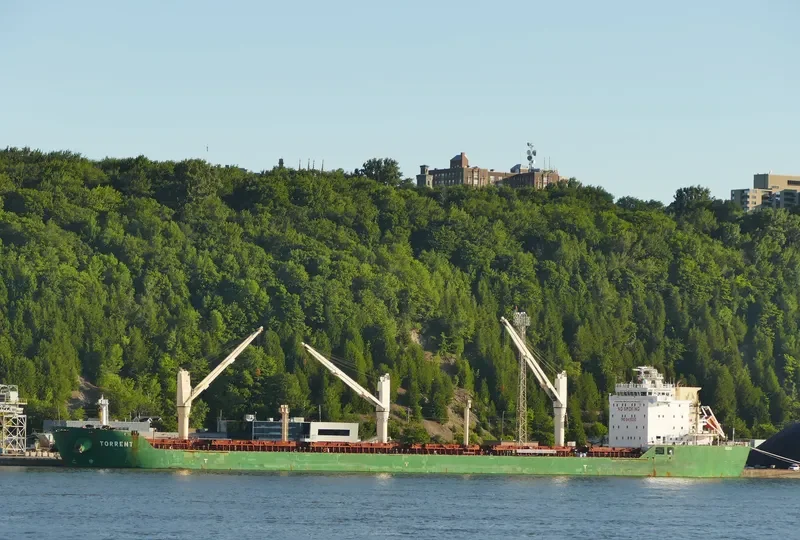 TORRENT Bulk Carrier IMO 9415210 photo 2
