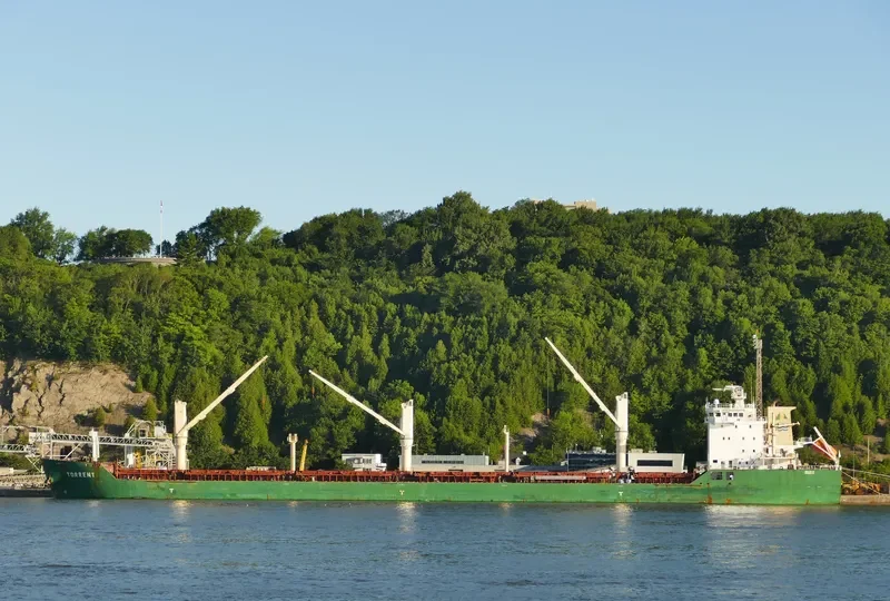 TORRENT Bulk Carrier IMO 9415210 photo 3
