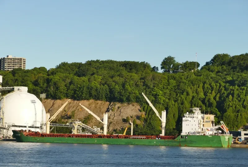 TORRENT Bulk Carrier IMO 9415210 photo 4