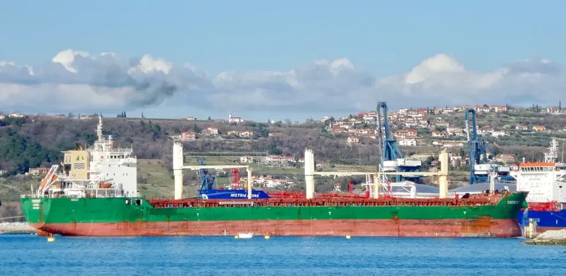 TORRENT Bulk Carrier IMO 9415210 photo 7
