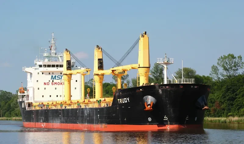 TRUDY Bulk Carrier IMO 9415246