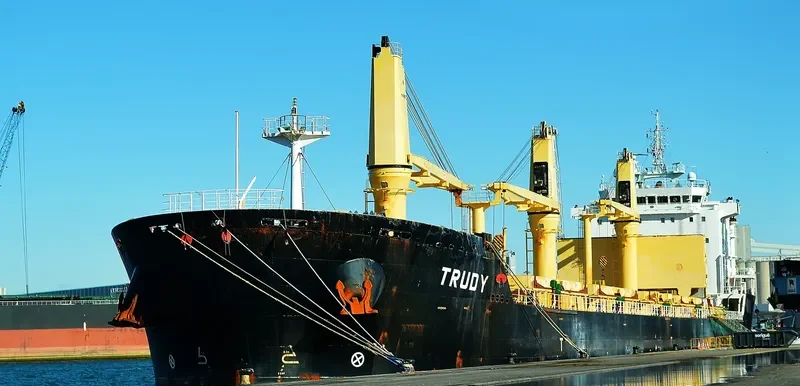 TRUDY Bulk Carrier IMO 9415246 photo 2