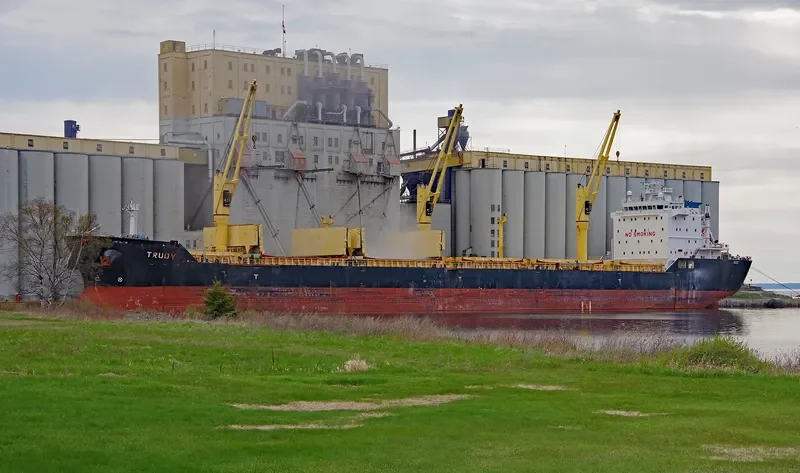 TRUDY Bulk Carrier IMO 9415246 photo 5