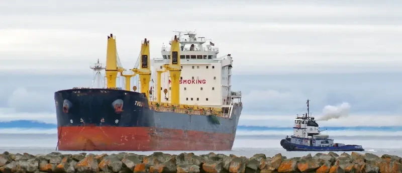 TRUDY Bulk Carrier IMO 9415246 photo 6