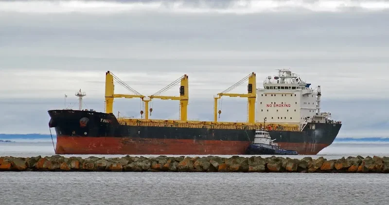 TRUDY Bulk Carrier IMO 9415246 photo 7