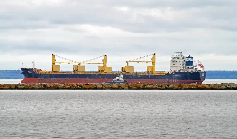 TRUDY Bulk Carrier IMO 9415246 photo 8